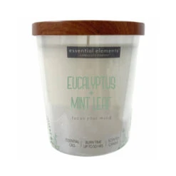 Candle Lite 4471174 Essential Elements Jar Candle, Eucalyptus & Mint Leaf, 9-oz.