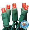 Holiday Bright Lights LEDBX-WA50-RD6 Light Set, 50-Lamp, LED Lamp, Red Lamp, 50,000 Hr Average Life, 26 Ft L