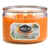 Candle Lite 1879132 Candle Lite Orange Orange Vanilla Dreamsicle Scent 10 Oz Orange -Wiltons Store 9048911 A.eps High